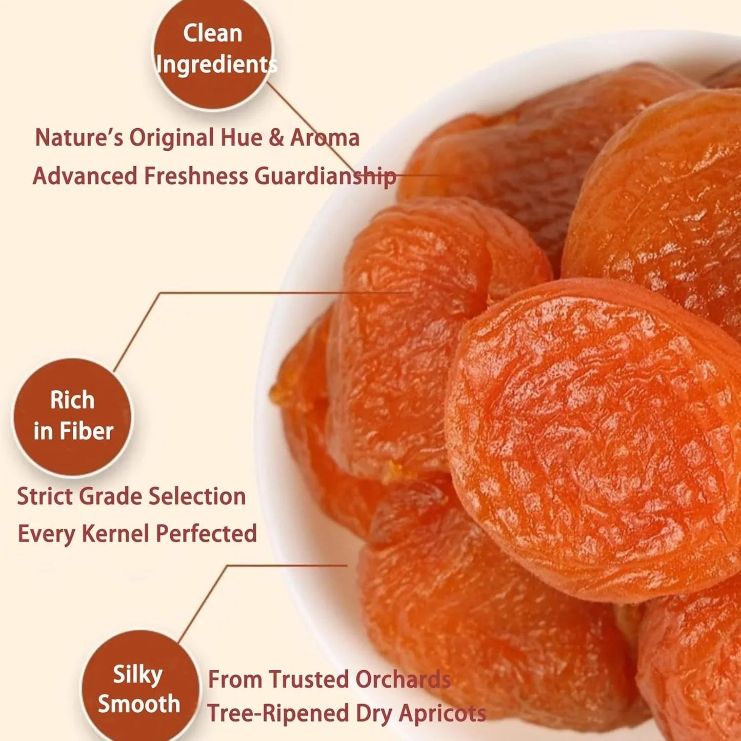 Dried Apricot Slices – 3-Pack Portable Snacks | Naturally Tangy & Sweet from OUESTTECH