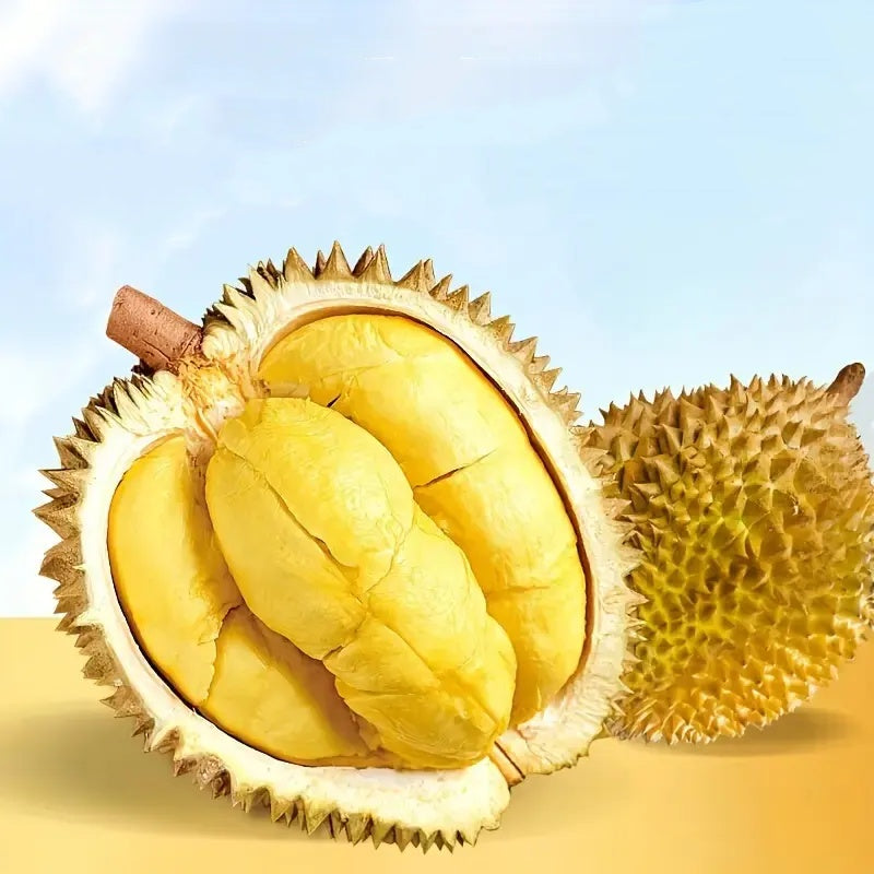 Freeze-Dried Durian | 100% Natural Durian Snack | Crispy, Sweet & Healthy Tropical Fruit Chips OUESTTECH
